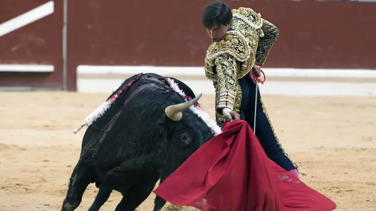 El torero peruano Andrés Roca Rey da un pase con la muleta al primero de su lote, durante la corrida de la Feria de la Blanca celebrada en la plaza de toros de Vitoria. EFE