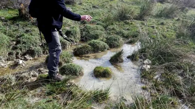 Creación de microhumedal en el Valle de Egüés.