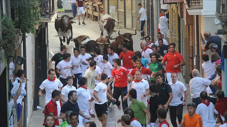 Último encierro con novillos en Estella. MIGUEL OSÉS(5)