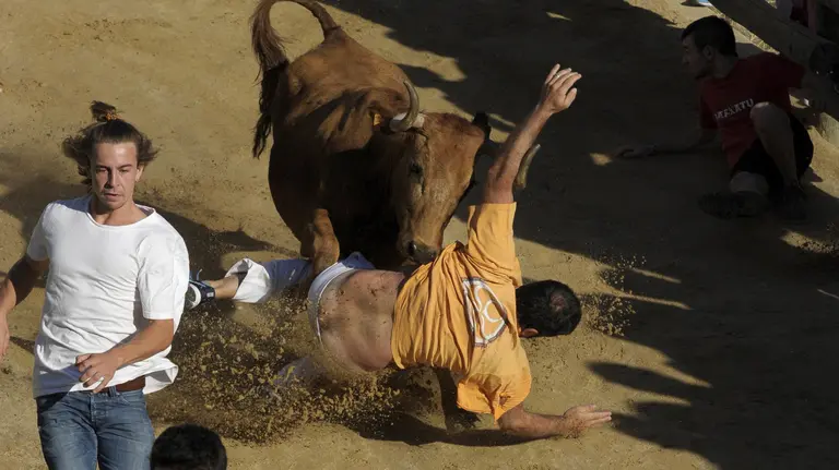GRA031 FALCES (NAVARRA) 14-08-16.- Los encierros del Pilón 2016, declarados como Fiesta de Interés Turístico de Navarra, que se celebran durante las fiestas patronales de Falces, se han estrenado hoy con una peligrosa carrera en la que una vaca se ha dado la vuelta y siete personas han tenido que ser atendidas por los servicios sanitarios.Se trata de una singular carrera de 800 metros que discurre por un estrecho y escarpado recorrido cuesta abajo, con el muro de la montaña a un lado y el barranco, al otro.En la foto, un mozo es volteado por una vaca en el primer encierro. EFE/Villar López