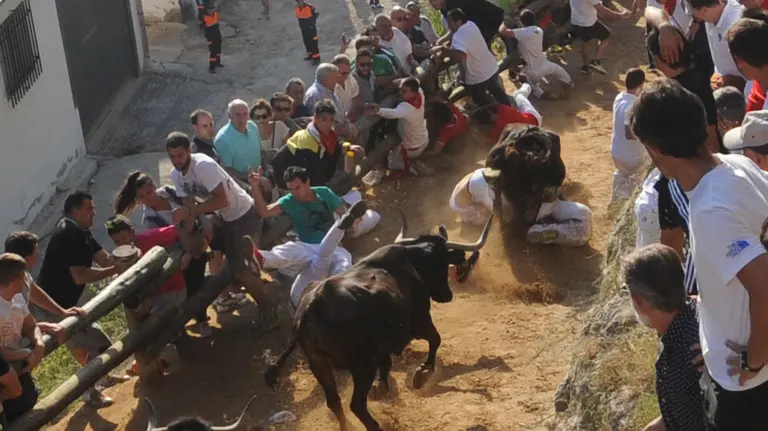 Imagen del tramo final durante el segundo encierro del Pilón en Falces MIGUEL OSÉS