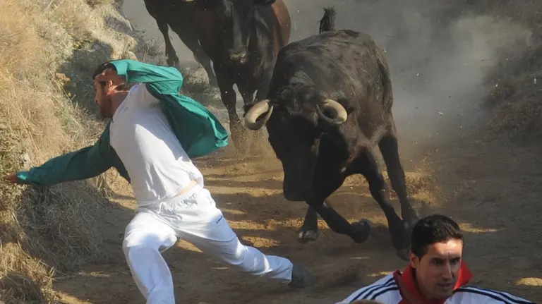 Las imágenes del segundo encierro del Pilón en Falces MIGUEL OSÉS (4)