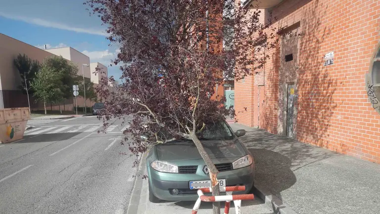 Uno de los coches afectados por el fuerte viente que ha soplado en Pamplona 2