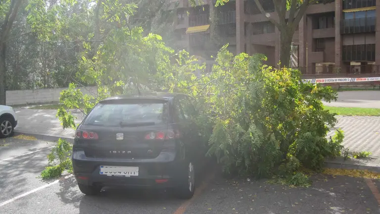Uno de los coches afectados por el fuerte viente que ha soplado en Pamplona