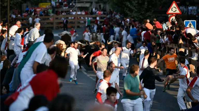 Rápido segundo encierro de fiestas de Tafalla. PABLO LASAOSA