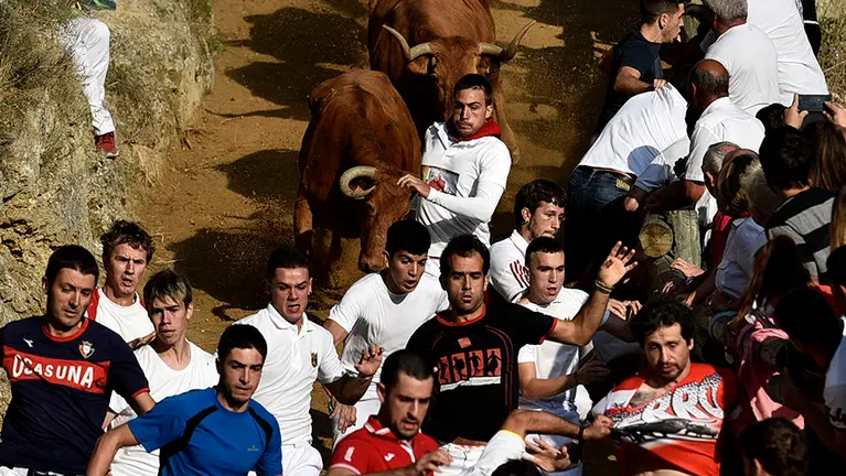Tercer encierro del Pilón. PABLO LASAOSA 02