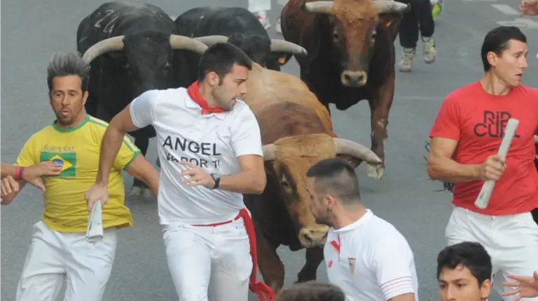 Toros de Macua en el tercer encierro de las fiestas de Tafalla . MIGUEL  OSÉS. 