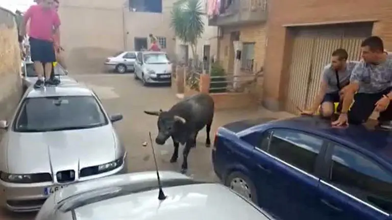 Herida una niña tras ser corneada en Alfamén