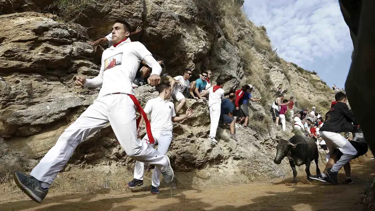 Unos mozos corren delante de las vacas de la ganadería guipuzcoana de Lastur, que han protagonizado un cuarto encierro del Pilón de Falces sin grandes incidencias. EFE/Jesus Diges