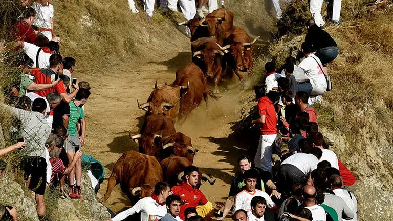 Sexto encierro del Pilón. PABLO LASAOSA
