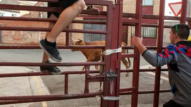 La barrera que rompió el novillo fue soldada y reforzada para continuar con los festejos Heraldo