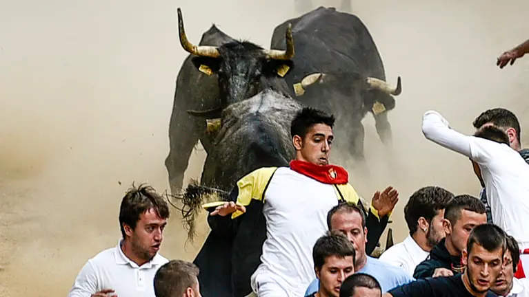 Séptimo encierro del Pilón. PABLO LASAOSA 02