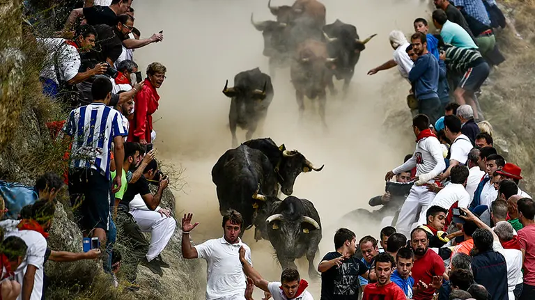 Séptimo encierro del Pilón. PABLO LASAOSA
