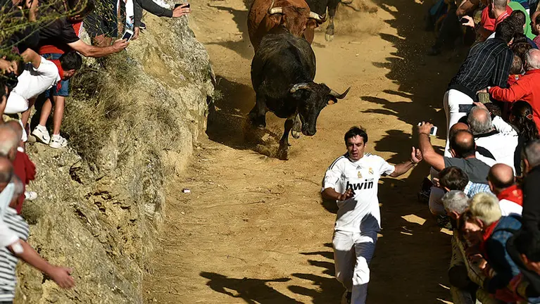 Último encierro del Pilón de Falces. PABLO LASAOSA