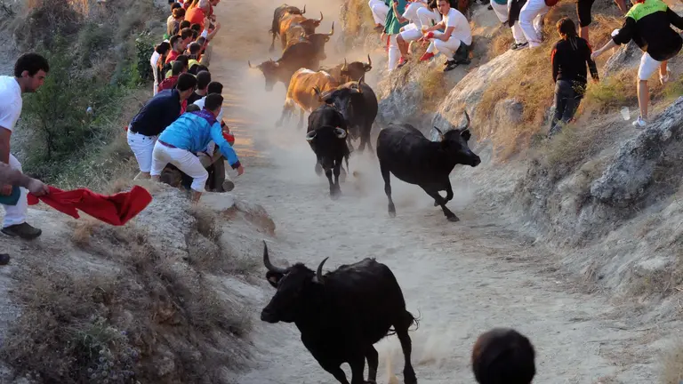 Último encierro de las fiestas de Falces. MIGUEL OSÉS