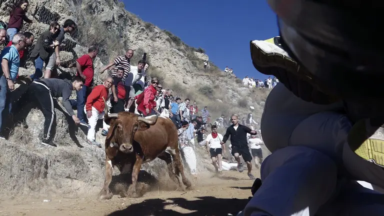Encierro de El Pilón en Falces. EFE/Jesús Diges