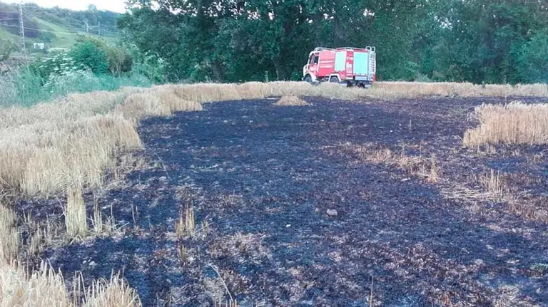 Incendio de vegetación en Navarra.