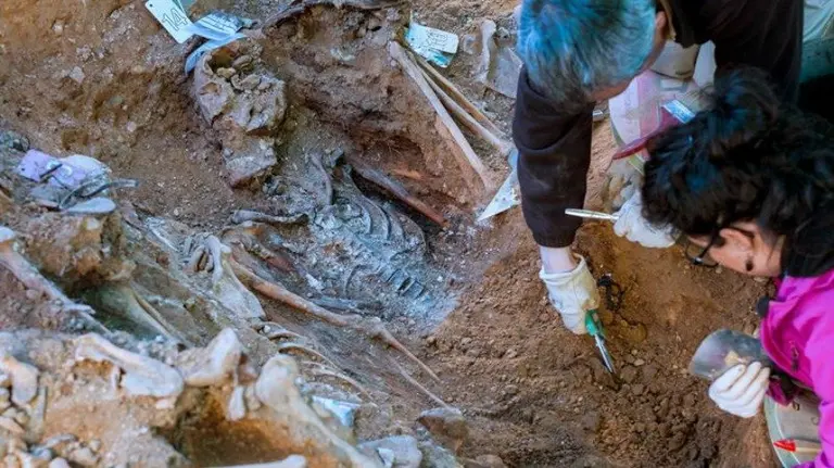 Una fosa común de la Guerra Civil. EFE. ARCHIVO