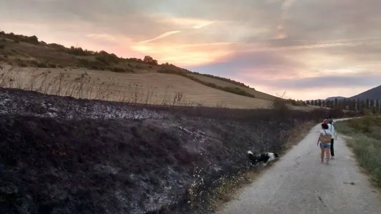 Zona calcinada tras el incendio en Sarriguren.