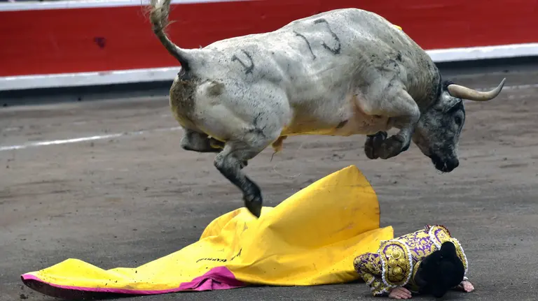 El diestro José Manuel Garrido en el suelo tras recibir a portagayola a su cuarto toro en la séptima corrida de abono de la Aste Nagusia de Bilbao, tras retirarse Alberto López Simón, con quien comparte cartel ante reses de Torrestrella. EFE/Miguel Toña