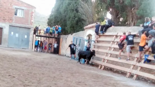 Imagen de festejos taurinos junto a un cadafal en el municipio castellonense de Cinctorres durante el pasado mes de junio. (EM).