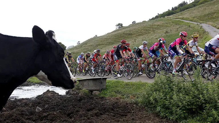 GRA413. LAGOS DE COVADONGA (ASTURIAS), 29/08/2016.- El pelotón durante la décima etapa de la Vuelta Ciclista a España 2016, disputada hoy entre Lugones y los Lagos de Covadonga, con un recorrido de 188,7 kilómetros. EFE/Javier Lizón