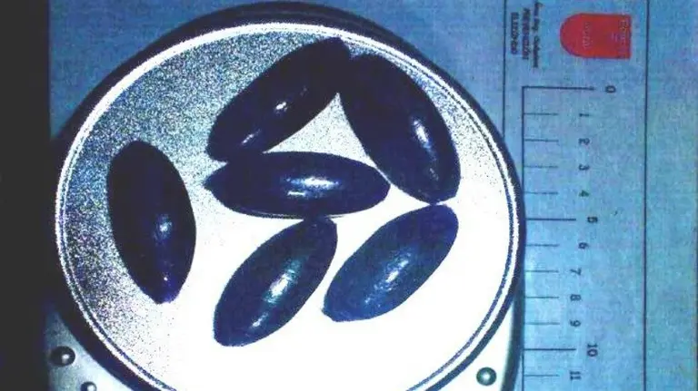 Las seis huevas de hachís interceptadas en un vehículo en Bera. PFORAL