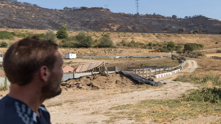 Finca de reses bravas de los Hnos. Ganuza, afectada por el incendio entre Pueyo y Tafalla del pasado 25 de agosto (5). IÑIGO ALZUGARAY