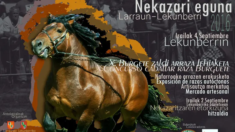 Día del Agricultor en Lekunberri y Larráun.