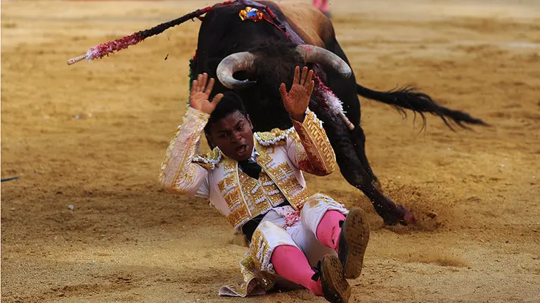 Primera novillada en Peralta con Miguel Ángel Silva, Igor Pereira y Antonio Catalán Toñete con toros de Sobral. MIGUEL OSÉS (36)