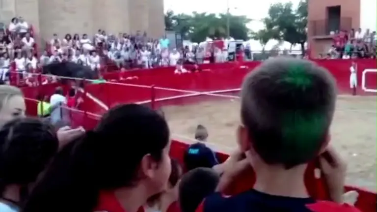 Salto de una vaca que intenta huir por el callejón de la plaza de toros de Milagro