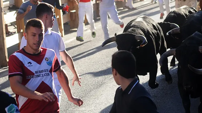 Segundo encierro de novillos en Peralta con la ganaderia San Pelayo. MIGUEL OSÉS (9)