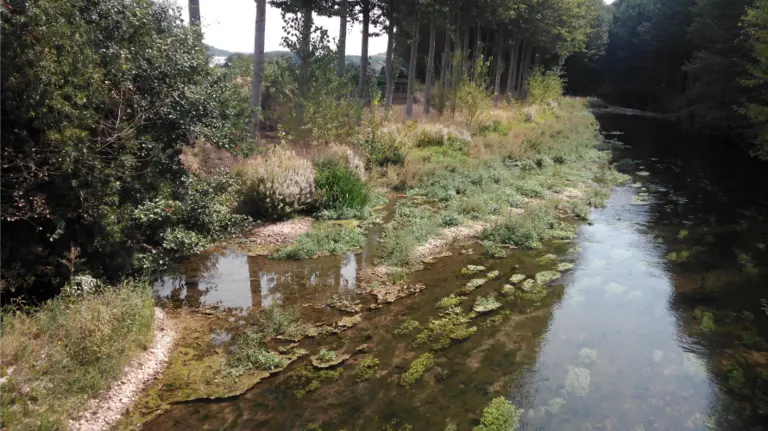 El río Ega a su paso por Murieta.