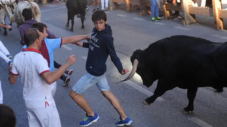 Los novillos de Peñajera protagonizan el rápido y peligroso encierro de Peralta. MIGUEL OSÉS (14)