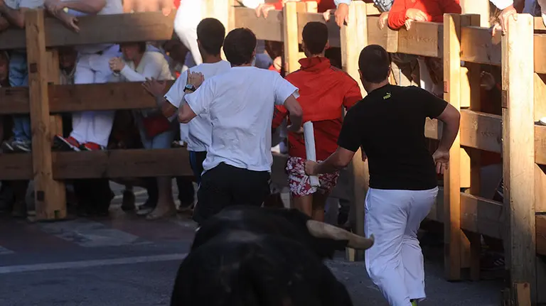 Los novillos de Peñajera protagonizan el rápido y peligroso encierro de Peralta. MIGUEL OSÉS (13)