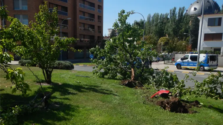 Se estrella a las 3 de la tarde contra la rotonda del Tenis de Pamplona por conducir borracho y se lleva por delante 3 árboles y una señal de tráfico. P.MUNICIPAL