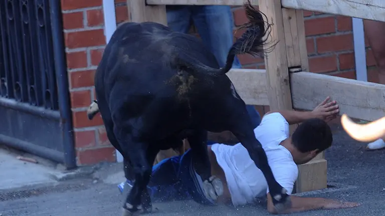 Primer encierro de las fiestas de Sangüesa con los toros de Doña Pilar Poblacion de Sanalamca. MIGUEL OSÉS (12)