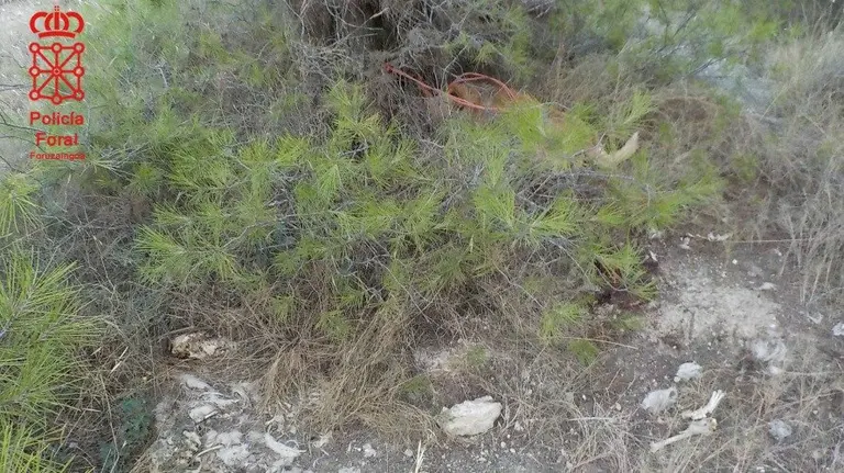 La perrita muerta localizada por la Policía Foral. PFORAL