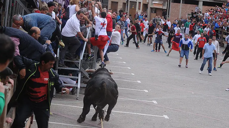 Segundo d&iacute;a de las Angustias con toro ensogado del Pincha. MIGUEL OS&Eacute;S (14)