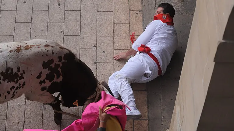 El toro ensogado del Marqués de Saka que ha dejado dos corneados en Lodosa este sábado MIGUEL OSÉS (7)