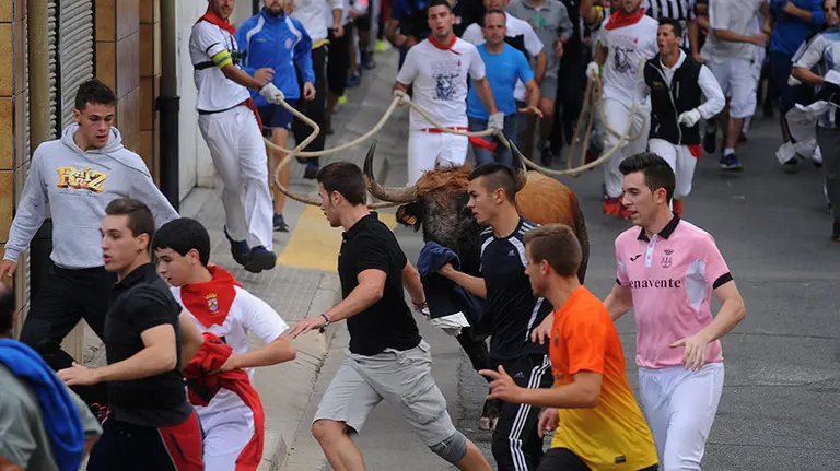 El toro de Ustarroz  recorre todo el pueblo en el d&iacute;a grande de las Angustias. MIGUEL OS&Eacute;S (17)