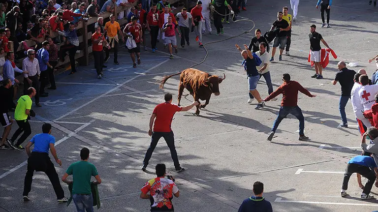 El toro de la ganadería Reta cierra el fin de semana de las angustias en Lodosa. MIGUEL OSÉS (7)