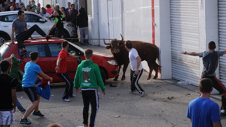 El toro de la ganader&iacute;a Reta cierra el fin de semana de las angustias en Lodosa. MIGUEL OS&Eacute;S (22)