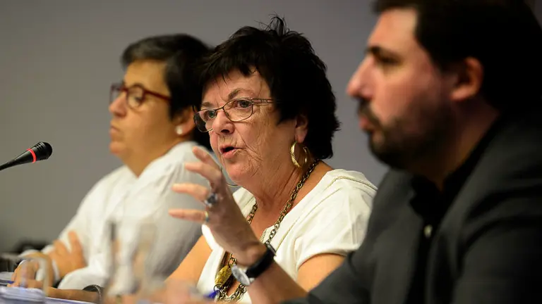 La Consejera Beaumont comparece en el Parlamento de Navarra. PABLO LASAOSA10