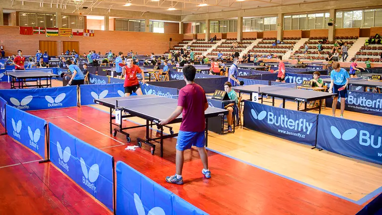Celebración del 23 Día del Deporte de la Universidad de Navarra. PABLO LASAOSA  (1)