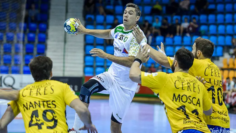 Helvetia Anaitasuna - Villa de Aranda. PABLO LASAOSA01