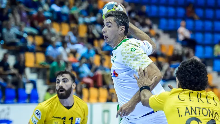 Helvetia Anaitasuna - Villa de Aranda. PABLO LASAOSA05