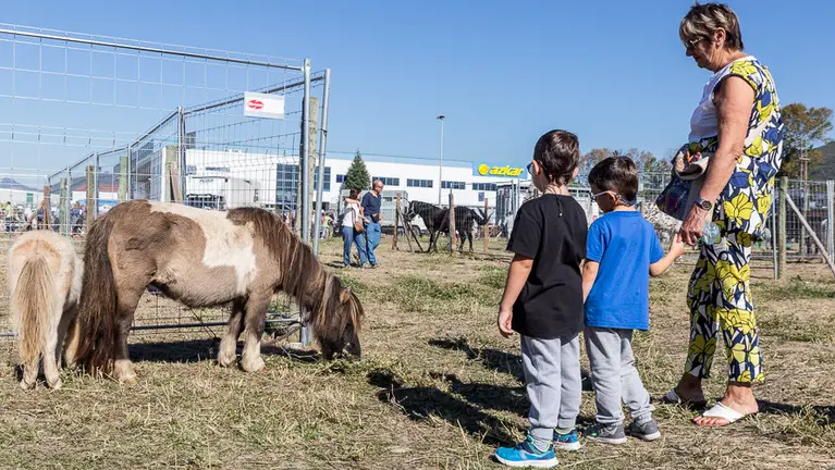 Fería de ganado equino celebrada en el Polígono Agustinos de Pamplona con motivo de la festividad de San Miguel (4). IÑIGO ALZUGARAY