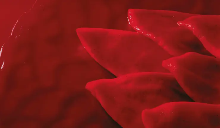 VII Exaltacion del pimiento del piquillo de Lodosa