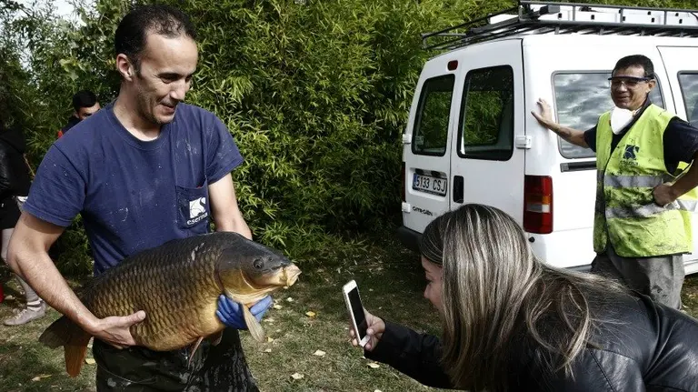Efectivos de  medio ambiente del Gobierno de Navarra retiran las especies piscicolas encontradas en el lago artificial del barrio pamplon&eacute;s de Mendillorri. EFEJes&uacute;s Diges